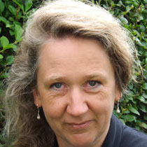 insa segebade